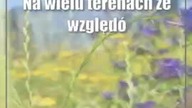 Lublin: Zrównoważone zarządzanie trawnikami