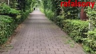 City s-Hertogenbosch Netherlands landscape #shorts #netherlands #august2023
