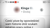PRACA DLA OSÓB 13+ oraz INWESTYCJE Z MENTZNEM czyli JAK ZOSTAĆ SŁUPEM oraz JAK STRACIĆ PIENIĄDZE
