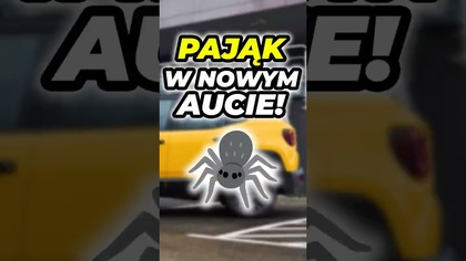 Pająk w nowym aucie