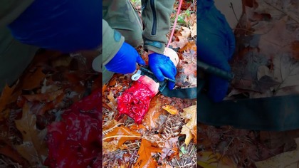 Staza Taktyczna MEDRESQ CAT NEW | Trening na Trauma Leg od Long Range Solution| Ratownik Pola Walki