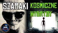 Szaraki to potomkowie uprowadzonych! Niezwykła teoria