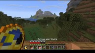 Is there anything interesting about witches at all? #minecraft #gaming #Game #Bruh #Short #Shorts
