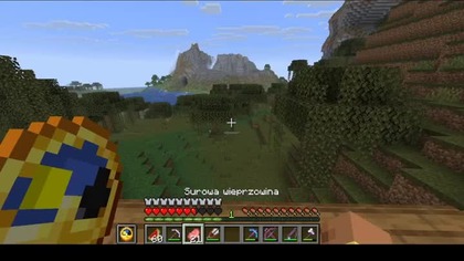 Is there anything interesting about witches at all? #minecraft #gaming #Game #Bruh #Short #Shorts