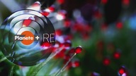 Planete+ - Reklamy, Identy, Zapowiedzi, info.  o udogodnieniach 20. 08. 2021