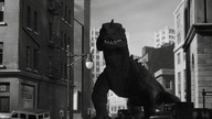 BESTIA Z GŁĘBOKOŚCI 20. 000 SĄŻNI(The Beast From 20,000 Fathoms)1953 eng