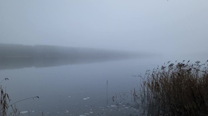 Distant Crow Calls  Frozen Lake in Winter Fog