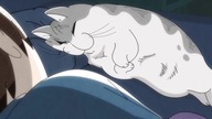 [Fusoku Subs] Yoru wa Neko to Issho 38