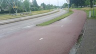 Zamieszki w Holandii, Holandia