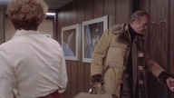 Meteoryt.  (1979)