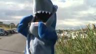 Shark Attack (R