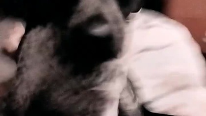 8 października 2024