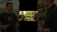 Zanim zakupisz ryby z zagranicy, jak to wygląda ?