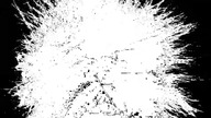 T\/N Ident BW