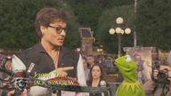 Piraci z Karaibów IV: Kermit na premierze