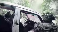 Rosyjskie grupy dywersyjne na Ukrainie