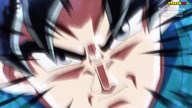 Dragon Ball Heroes 10