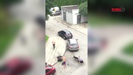 Nowy Sącz: Pit Bull zaatakował kobietę i jej psa