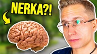 Co Polacy wiedzą o anatomii i przyjemności?