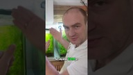 Odzyskiwanie starego akwarium  #akwarium #akwarystyka