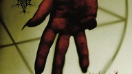 Viscera Drip - Into The Maze Of Life