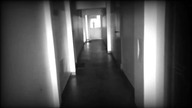 Vein Cat - Only Me (random footage visualiser)