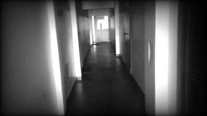 Vein Cat - Only Me (random footage visualiser)