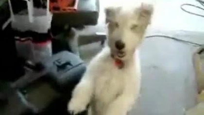 UŁŁŁ LOL