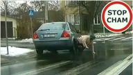 Kolizja, potrącenie i ucieczka z miejsca zdarzenia #751 Wasze Filmy