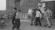Ptaki i ptaszyska (1966) Pier Paolo Pasolini