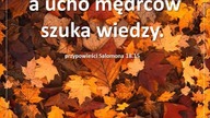 Audycja Wyzwolony - Bessie Tollberg
