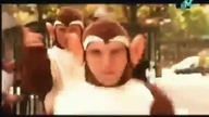 Bloodhound Gang - The Bad Touch [1999]
