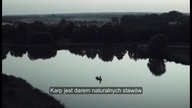 WPOLSCE24 - 20-12-2024 - Reklamy, Ogłoszenie nadawcy