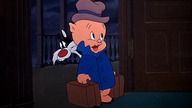 Zwariowane Melodie - Przestraszyć Kota (1947)