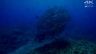 Deep Ocean Relaxing Oceanscapes BBC Earth