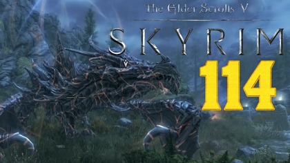 The Elder Scrolls V: Skyrim Special Edition - Skrytobójca Iluzjonista #114 #gameplay #PL, #zagrajmy