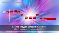Sylwia Grzeszczak - Tamta Dziewczyna demo karaoke