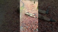 Dlaczego warto trenować w terenie - staza taktyczna typu CAT od Rhino Rescue