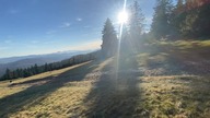 Rysianka Beskid Żywiecki POZDROWIENIA