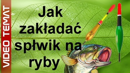 Jak zakładać spławik na wędce