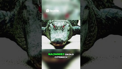 Dwupalczasty Tom Tajemniczy Aligator z Alabamy