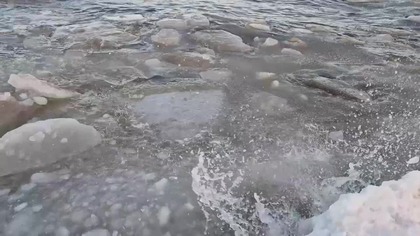 O co chodzi w życiu?