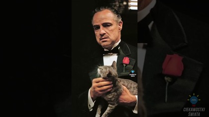 CZY WIESZ, ŻE CZ 129