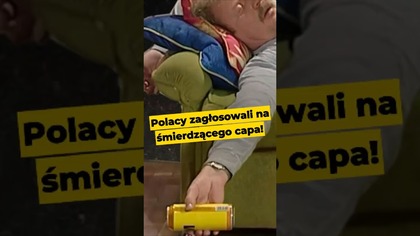 Polacy zagłosowali na śmierdzącego capa! #Nawrocki #Batyr #polityka #wybory2025