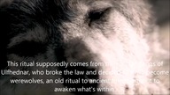 Werewolf Lore - Ulfhednars Blood Pact