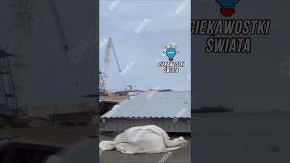 Katastrofa samolotu w Kazachstanie.  Leciało nim 72 osoby