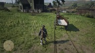 red Dead 2 online PL