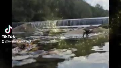 Cieszyn Bielsko Goleszów rowerem przez skorumpowana mafię prokuratury millor konczakowskich