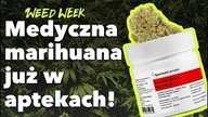 Marihuana już w Aptece | Kali i jego 1,5m Bongo | 60kg marihuany na lotnisku | #WeedWeek 28