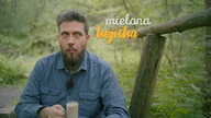 Nowa mielona sproszkowana herbata: HOJICHA | Czajnikowy.pl